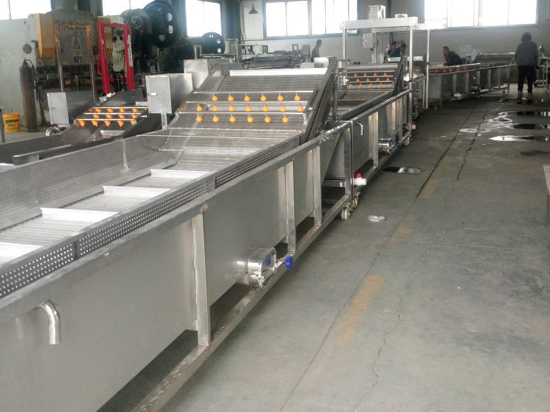 山野菜氣泡清洗機(jī)