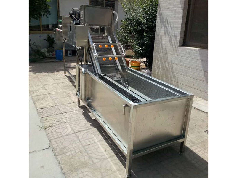 荔枝氣泡清洗機(jī)